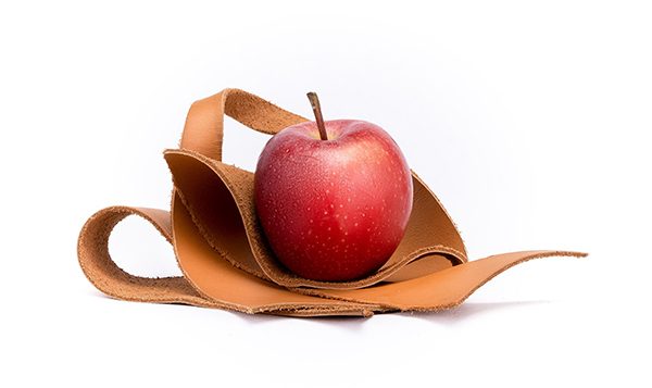 sacs ecoresponsables en cuir de pomme